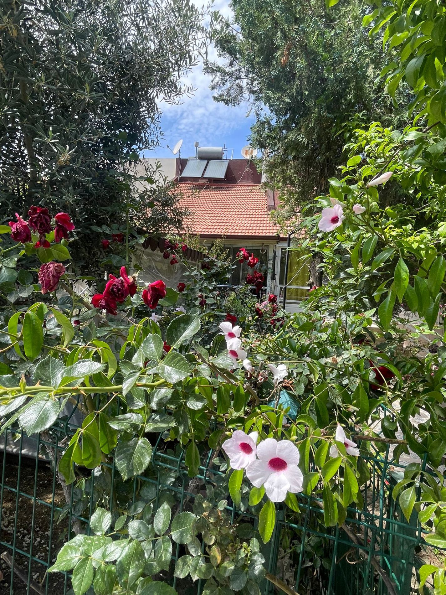 7312 VILLA WITH LARGE GARDEN  - <span class=
